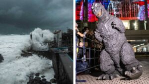 El “Niño Godzilla” alteró el mar; alertan científicos de la UNAM