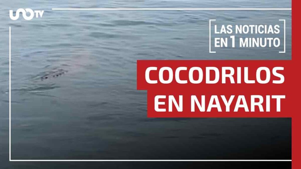 Noticias de hoy 11 de julio de 2025, en un minuto, hasta las 19:00 horas