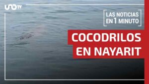 Noticias de hoy 11 de julio de 2025, en un minuto, hasta las 19:00 horas
