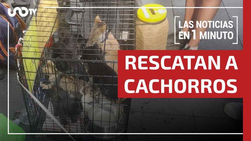 Noticias de hoy 9 de julio de 2025, en un minuto, hasta las 19:00 horas