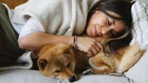 ¿Tu perro duerme en tu cama? Esto debes saber antes de seguir haciéndolo