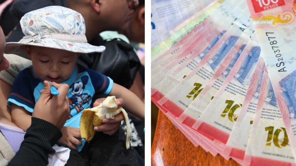 Programa Desde la Cuna, mil pesos mensuales