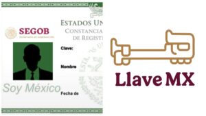 CURP biométrica vs LlaveMX: estas son sus diferencias clave