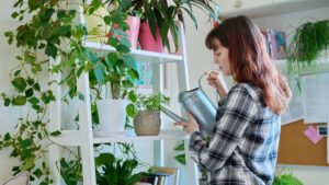 ¿Riegas tus plantas cada semana? Un experto advierte que este hábito podría estar matándolas
