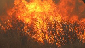 Evacúan a 500 turistas del Gran Cañón por incendio