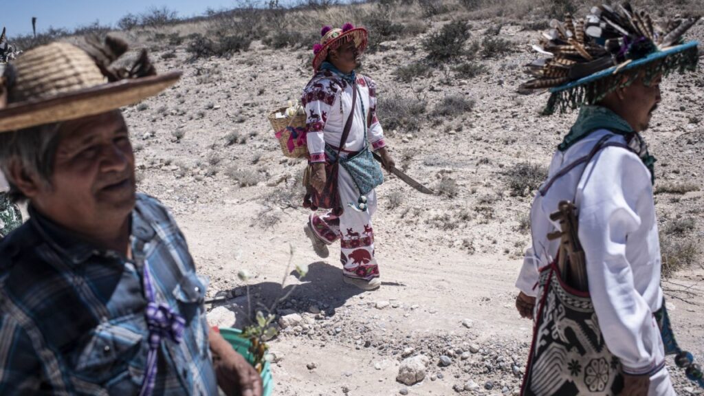 Ruta Wixárika por los Sitios Sagrados a Wirikuta es reconocida por la Unesco