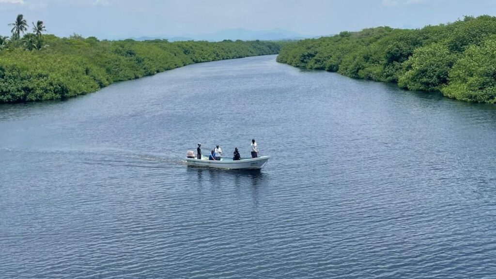 “Solo encontramos sus sandalias”: termina búsqueda de menor que cayó a zona de cocodrilos en Michoacán