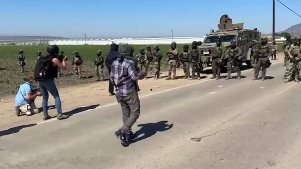 Redadas de migrantes en campos de cultivos en California