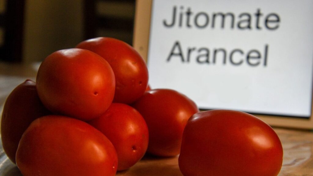 Aplican arancel a jitomate. Foto: Cuartoscuro