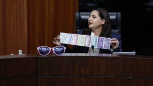 Acordeones, un ensayo de cómo se van a manejar las elecciones