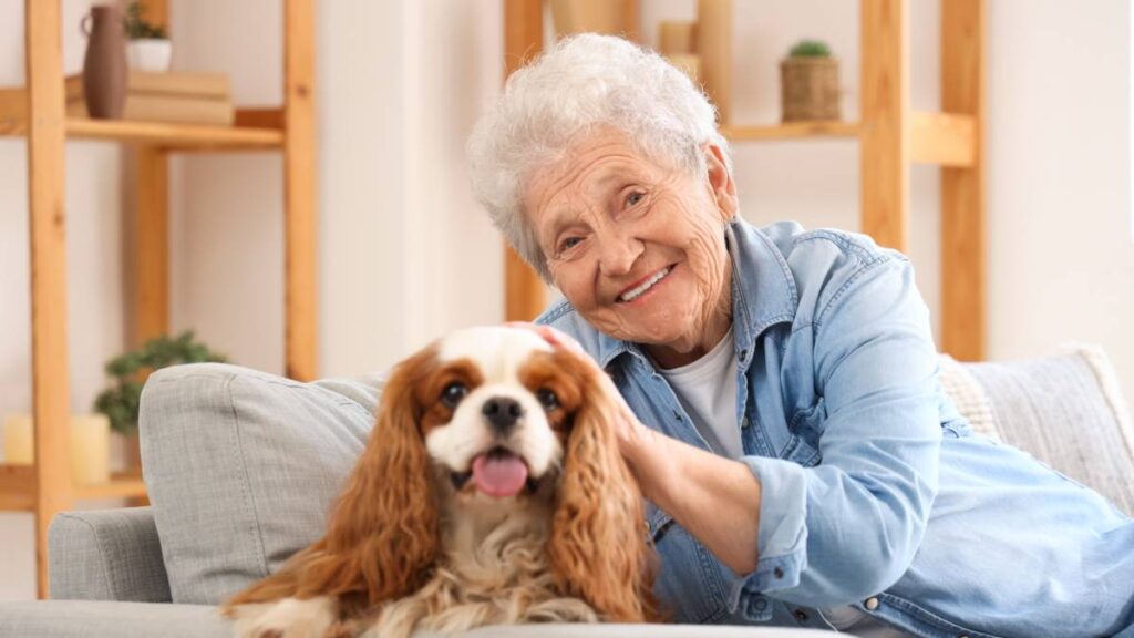 Beneficios tener mascota vejez
