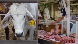 Sequía y escasez de ganado disparan precio histórico de la carne en México y EE. UU.