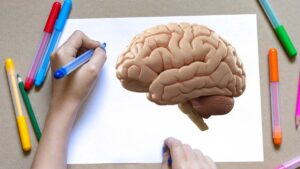 Día Internacional de la Zurdera: ¿funciona diferente el cerebro de una persona zurda?