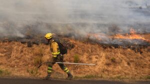 Con 30 mil en 24 horas, incendios forestales en España dañaron ya 373 mil hectáreas