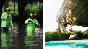 Arman “competencia de clavados” en el Mercado de Abastos de Guadalajara tras inundaciones