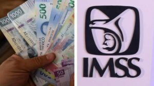 ¿Cuánto debes pagar al mes si optaste por la Modalidad 40 del IMSS?