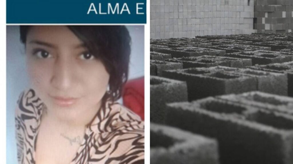 Alma Elena desaparecida