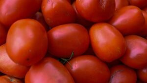 México fija precios mínimos de exportación de jitomate