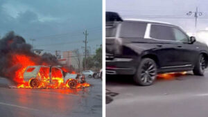 Delegado de FGR asesinado investigaba a Tania Contreras, presidenta electa del Tribunal de Tamaulipas