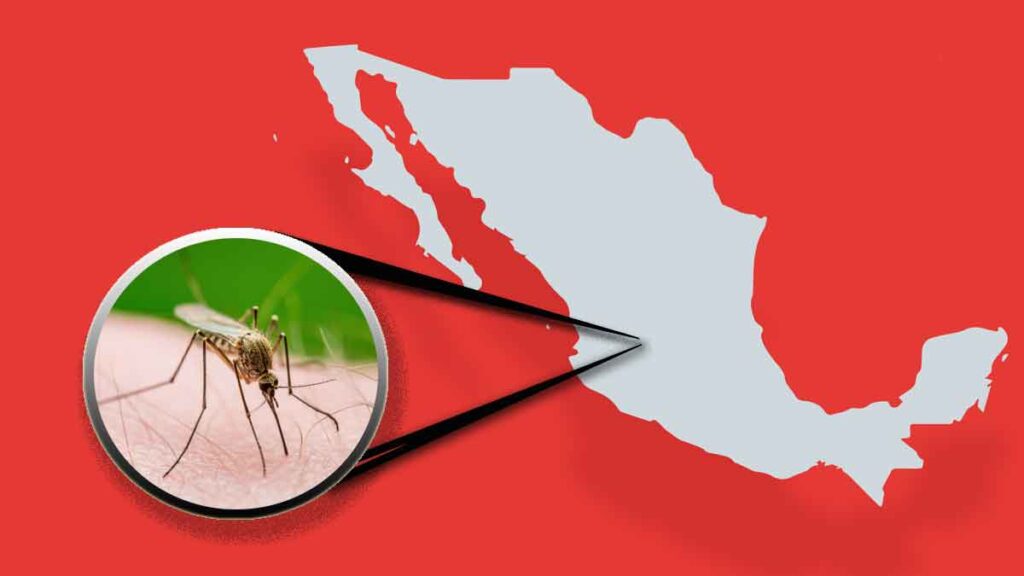 Dengue En Mexico