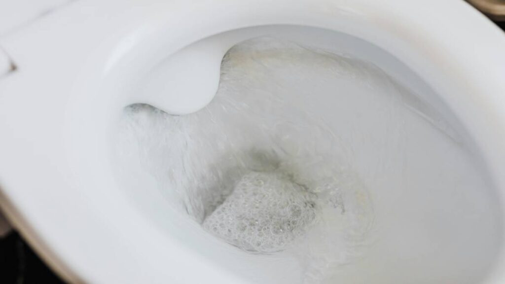 ¿Cómo eliminar sarro del inodoro, paso a paso?