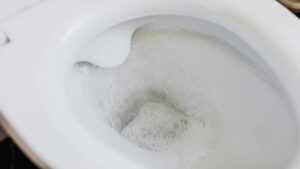 ¿Cómo eliminar sarro del inodoro, paso a paso?