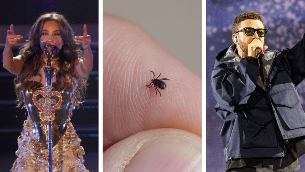 ¿Qué pasa con los famosos y la enfermedad de Lyme?