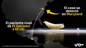 Confirman primer caso humano de gusano barrenador en EE.UU.: “El riesgo a la salud pública es muy bajo”, dicen autoridades