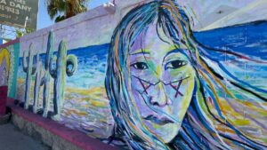Homenaje a la tribu Seri: así son los murales en Hermosillo del corredor cultural