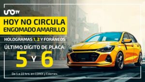No circulan este lunes vehículos con placas terminación 5 y 6