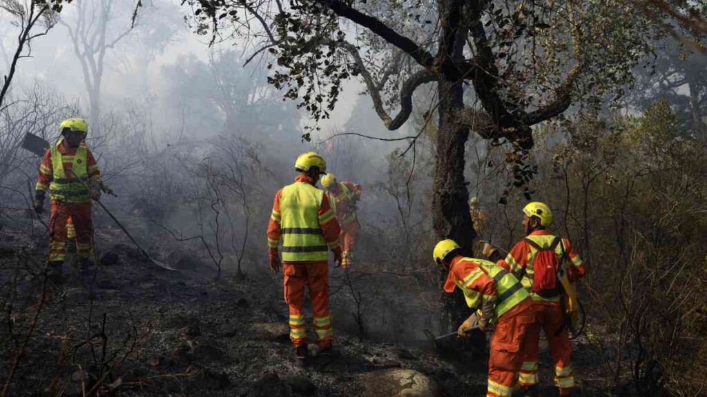 Miles de bomberos, junto a militares y aeronaves de apoyo internacional, combaten este lunes los más de 20 incendios activos que arrasan la mitad oeste de España, en lo que ya es el peor año registrado por devastación del fuego.
