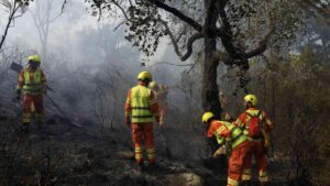 España combate 23 incendios forestales; 343 mil hectáreas quemadas y cierran tramo del Camino de Santiago