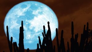 Luna de esturión 2025: ¿cuántos días faltan para verla en México?