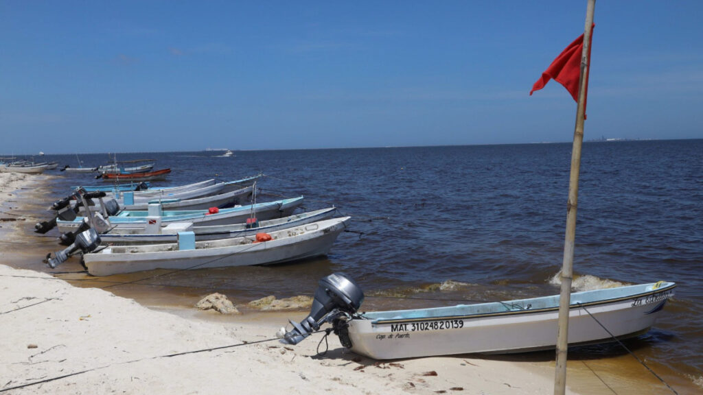 Descartan marea roja en Yucatán