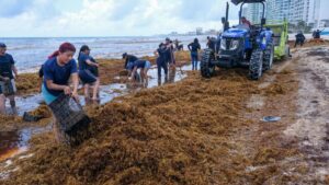 México lleva el sargazo y blanqueamiento de corales a la COP30