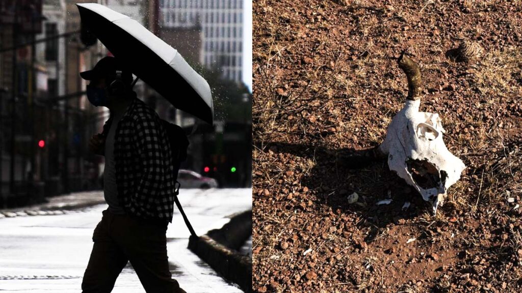 Monzon Mexicano Sequias