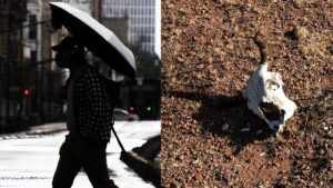 Monzón mexicano, ¿qué es este fenómeno y cómo podría ayudar a reducir la sequía?