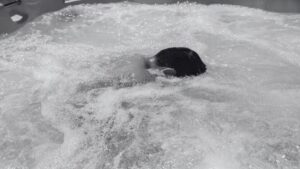 Turista muere electrocutado en jacuzzi de hotel en Ixtapa; su familia grabó el momento
