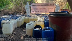 Rutas, sobornos y halcones: cómo el Cártel de Sinaloa pasa fentanilo a EE. UU. según el NYT