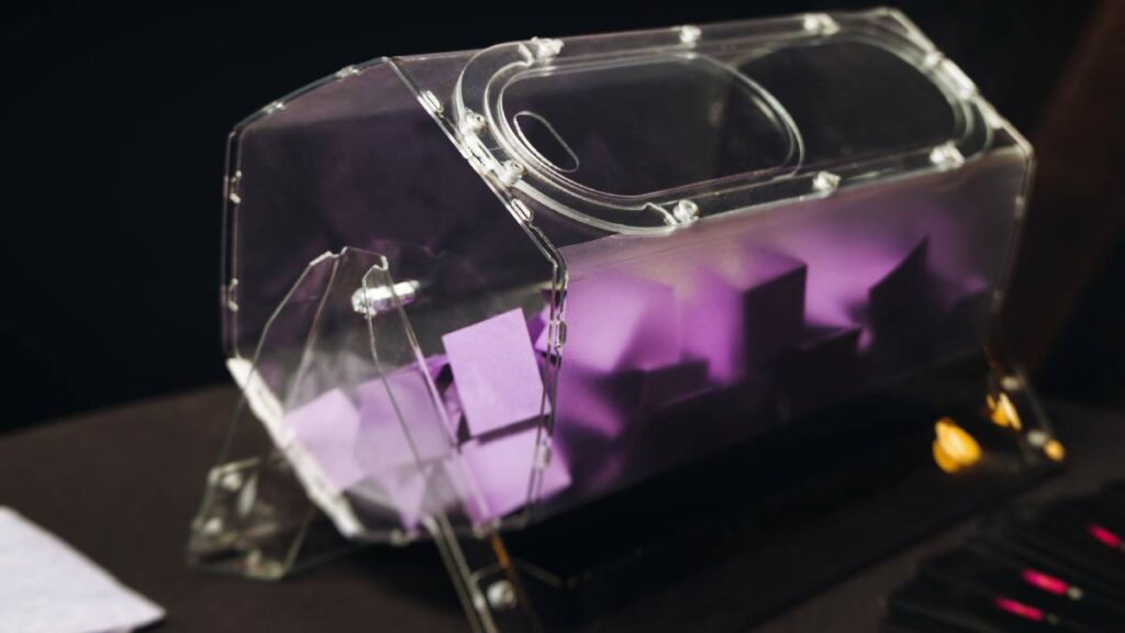 Nominados para el cuarto eliminado en La Casa de los Famosos México 2025