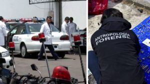 ¿Eres experto en alguna disciplina? Poder Judicial lanza convocatoria para peritos 2026