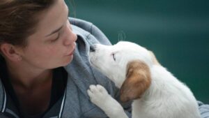 ¿Tu perro puede leerte la mente? Esto dice la ciencia sobre su conexión con los humanos