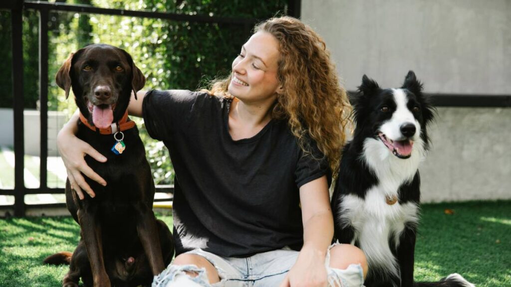 Perros dueños primerizos