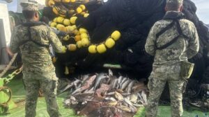 Decomisan Agricultura y Marina más de 4 mil toneladas de pesca ilegal en 6 meses