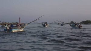 Alerta en Yucatán: detectan alga nociva en playas de Progreso