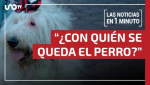 Noticias de hoy 19 de agosto de 2025, en un minuto, hasta las 19:00 horas