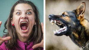 Rabia en humanos: qué es y cómo identificar sus síntomas