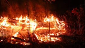 Contienen incendio en Francia tras arrasar 16 mil hectáreas