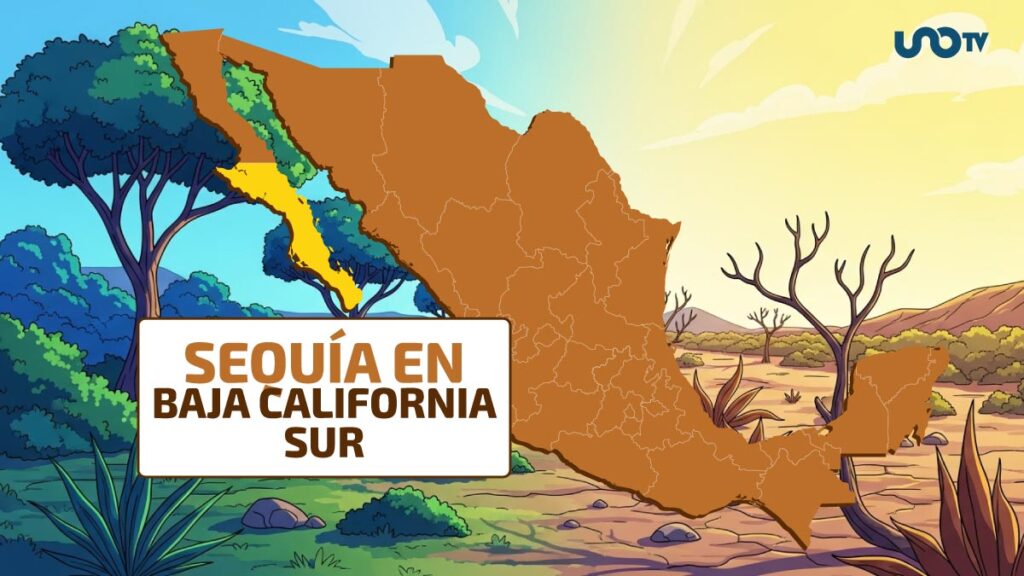 Sequía en BCS, ¿cómo está la situación del estado?