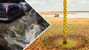 Pese a lluvias, sequía extrema azota al norte y presas llegan a niveles críticos